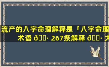 流产的八字命理解释是「八字命理术语 🌷 267条解释 🕷 大全」